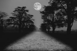 moon path