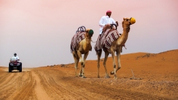 Means of transport in the desert 