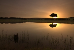 Alentejo 