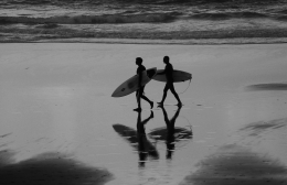 the surfers 