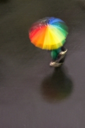 Colors under the rain 