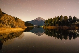 Reflexos da Natureza 