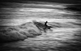 Surf Series 