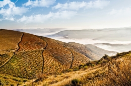 PORTUGAL, ALTO DOURO - WORLD HERITAGE 