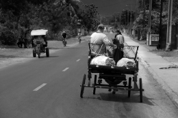 On the road to the market 