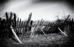 Old fence 