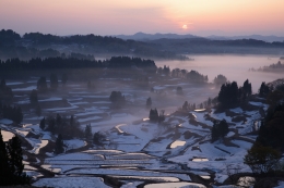 Dawn of rice terraces 