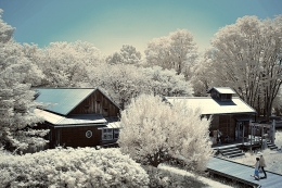 To the white forest hut 