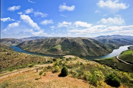 DOURO RIVER 