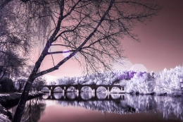 |infrared photography 850nm| 
