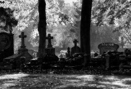 Autumn cemetery mood 