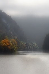 Loneliness of a fisherman 