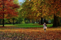 Impressionist Autumn 