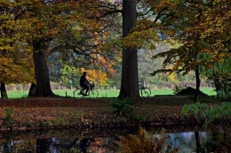 Bicyle ride in the park 