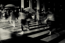 Crosswalk of rain 