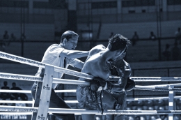 Muay Thai (Thai boxing) 