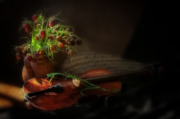 An old violin singing her time 