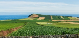 Ilha Terceira - Açores 