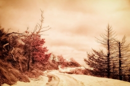 Winter road 