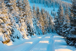 Winter Roads 