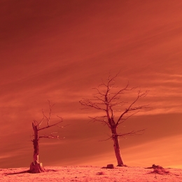 Dry in infrared 