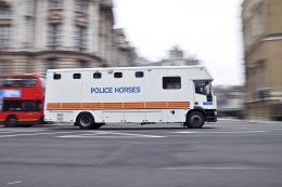 police horses 