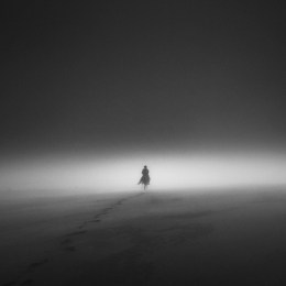 Into The Deep Mist 