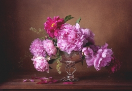 About peonies 