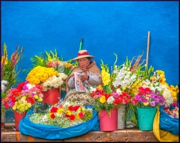 vendedora flores 