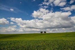 Alentejo 