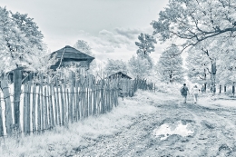 Country road (infrared) 