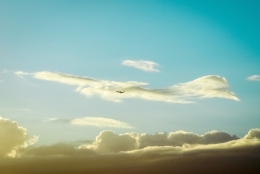 Airplane Cloud 
