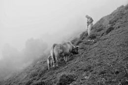 Por esse monte abaixo 