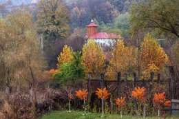 Autumn colors (2) 