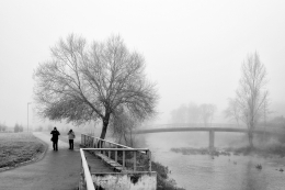 neblinas junto ao rio 