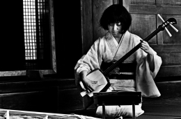 shamisen 