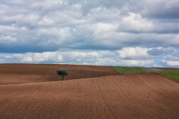 Alentejo 