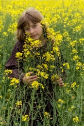 In the rapeseed 2 