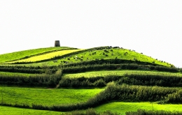 GREEN FIELDS OF AZORES 
