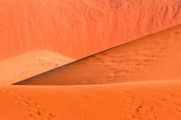 Desierto del Namib I 