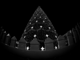 the Christmas tree 