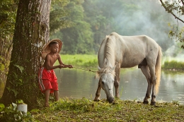 Little boy and a horse 