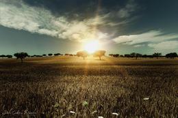 O Alentejo  