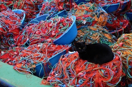 fishing nets 