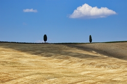 Paesaggi toscani 