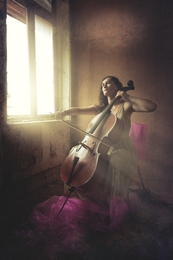 The Cellist 