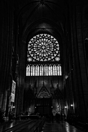 Notre-Dame - Paris 