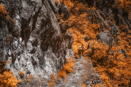 Hiking (infrared) 