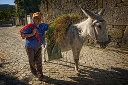 A mulher e o burro 