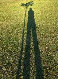 Shadow in shadow 
